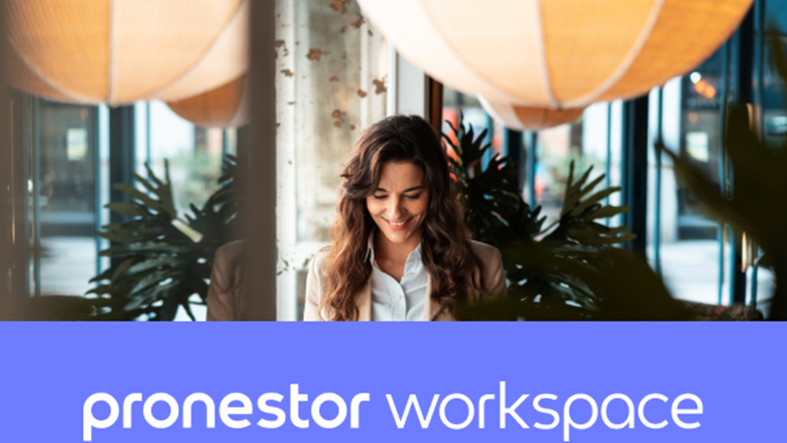 Pronestor Workspace - Price list